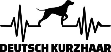 Kalp atışı darbe satır Alman shorthaired ibre köpek siluet ve Almanca kelime ile