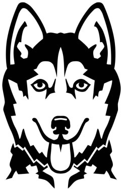 Husky kafa adı ile siyah