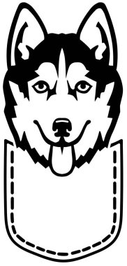 Husky bir cep plack ve beyaz