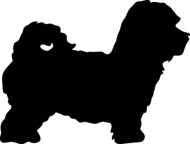 Free Free Maltese Dog Svg Free
