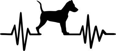 Kalp atışı darbe hattı ile minyatür Pinscher köpek siluet 