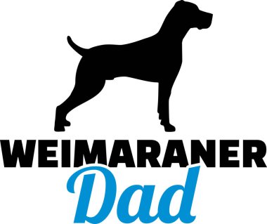 Yüzü olan Mavi Weimaraner baba