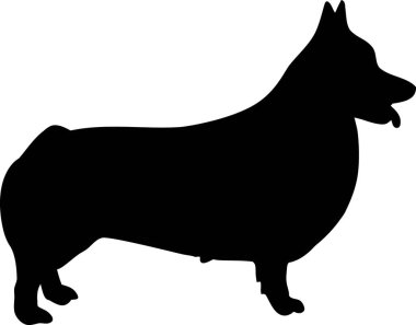 Galce Corgi Pembroke siluet gerçek siyah