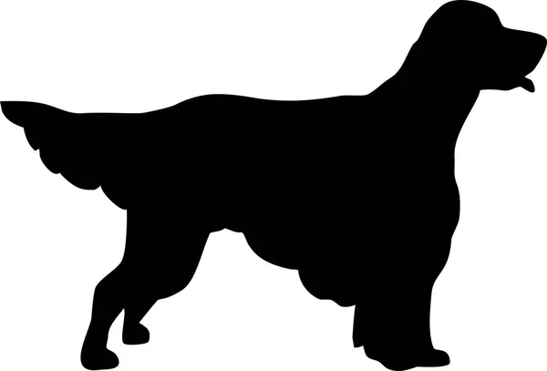 Silueta Setter Inglesa Real Negro — Vector de stock