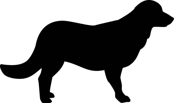 Flat Coated Retriever Silhouette Real Black — Stock Vector