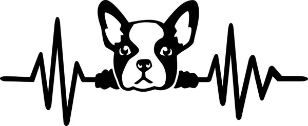 Heartbeat Pulse Line Dog French Bulldog Face Black White — Stock Vector