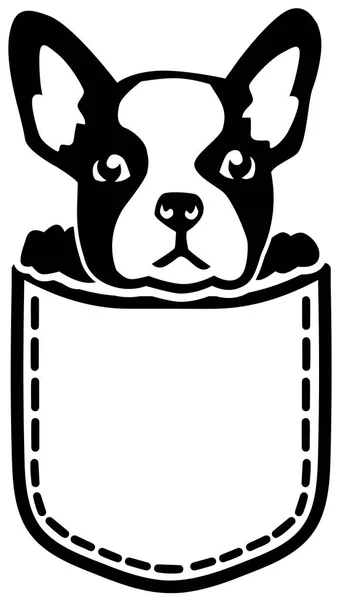 French Bulldog Pocket — Stock Vector