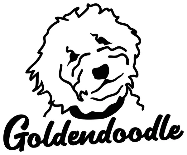 Goldendoodle Silhouette Testa Bianca Con Nome — Vettoriale Stock