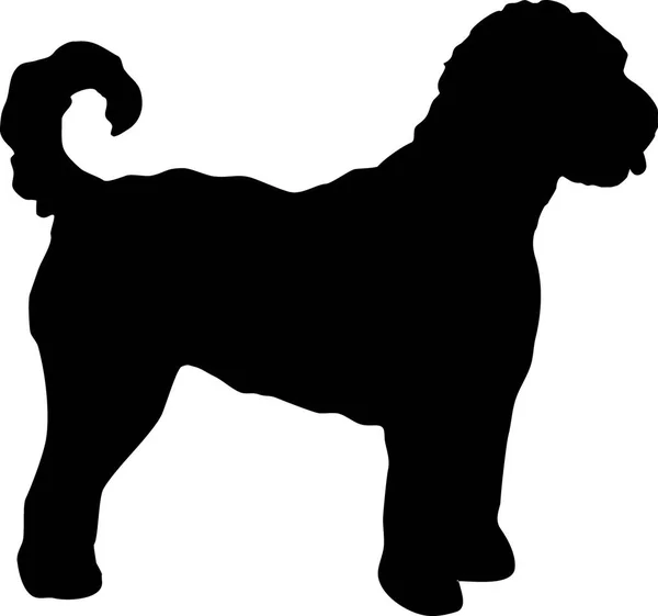 Goldkritzelhund Silhouette Schwarz — Stockvektor