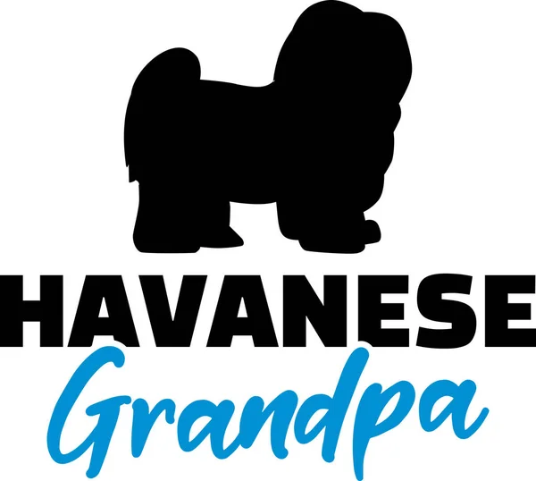 Havanese Grandpa Silueta Palabra Azul — Vector de stock