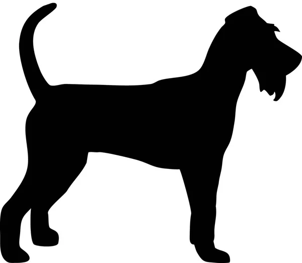 Irish Terrier Silhueta Real Preto —  Vetores de Stock