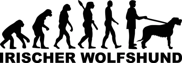 Irish Wolfhound Évolution Avec Mot Allemand Noir — Image vectorielle