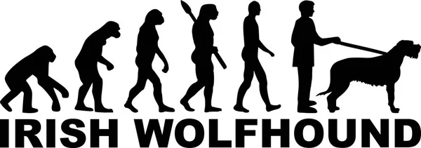 Evolução Wolfhound Irlandês Com Palavra Preto —  Vetores de Stock