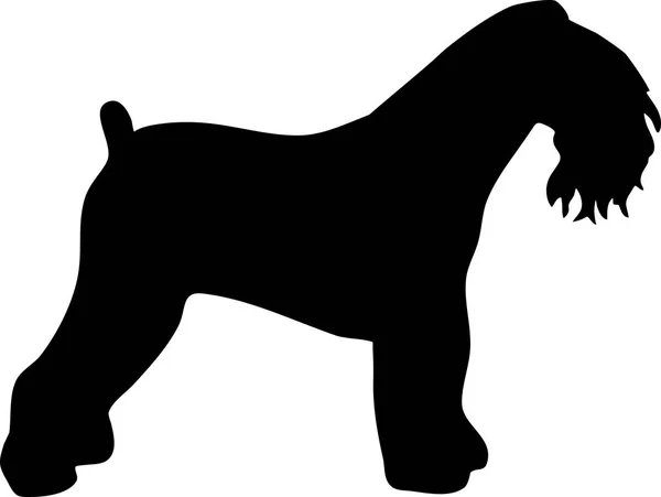 Kerry Blue Terrier Cane Silhouette Reale Nero — Vettoriale Stock