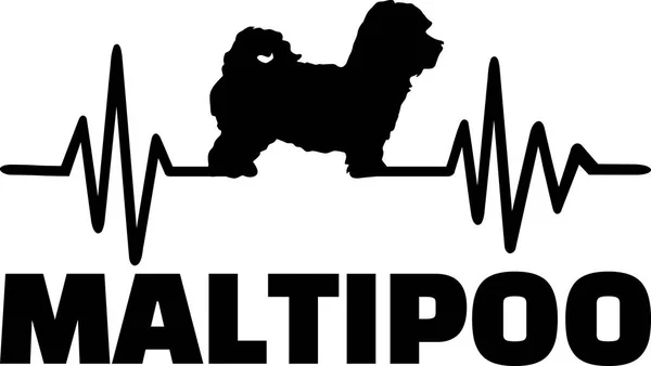 Linha Pulso Batimento Cardíaco Com Silhueta Cão Maltipoo — Vetor de Stock