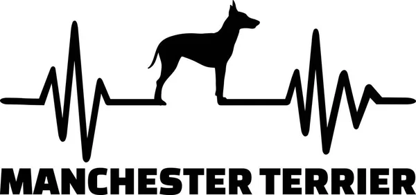 Ligne Impulsion Heartbeat Avec Silhouette Pour Chien Manchester Terrier — Image vectorielle