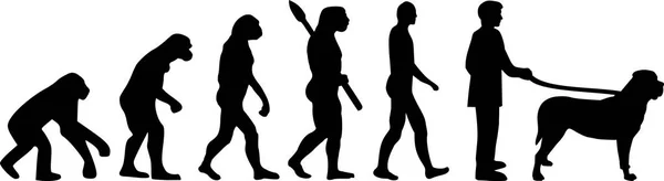Evolução Mastim Darwin Com Silhuetas —  Vetores de Stock