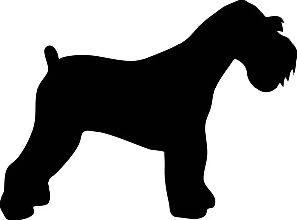 Miniatur Schnauzer Silhouette Echt Schwarz — Stockvektor