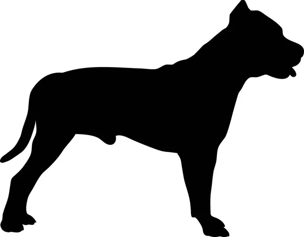 Pit Bull Terrier Silhueta Preta —  Vetores de Stock