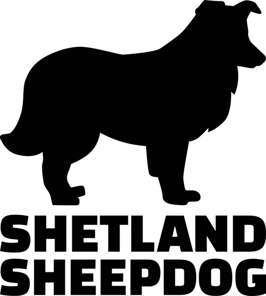 Shetland Sílhueta Cão Pastor Real Com Palavra — Vetor de Stock
