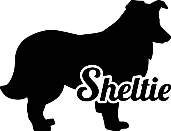 Shetland Sheepdog Sheltie Silhouette Reale Con Parola — Vettoriale Stock