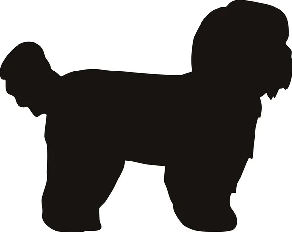 Shih Tzu Silhueta Preto —  Vetores de Stock