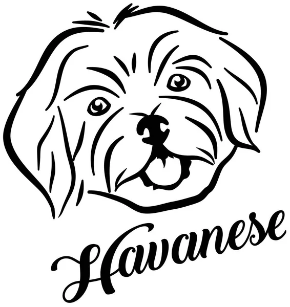 Havanische Hundekopfbezeichnung Vektorgrafiken
