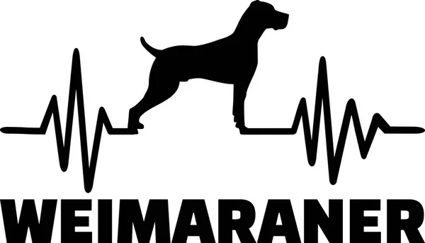 Frecuencia Latidos Del Corazón Con Silueta Perro Weimaraner Ilustraciones De Stock Sin Royalties Gratis