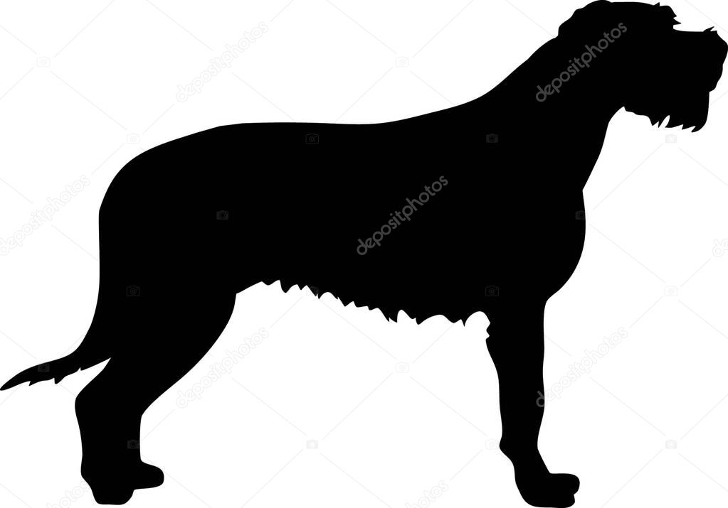 Irish Wolfhound silhouette real in black