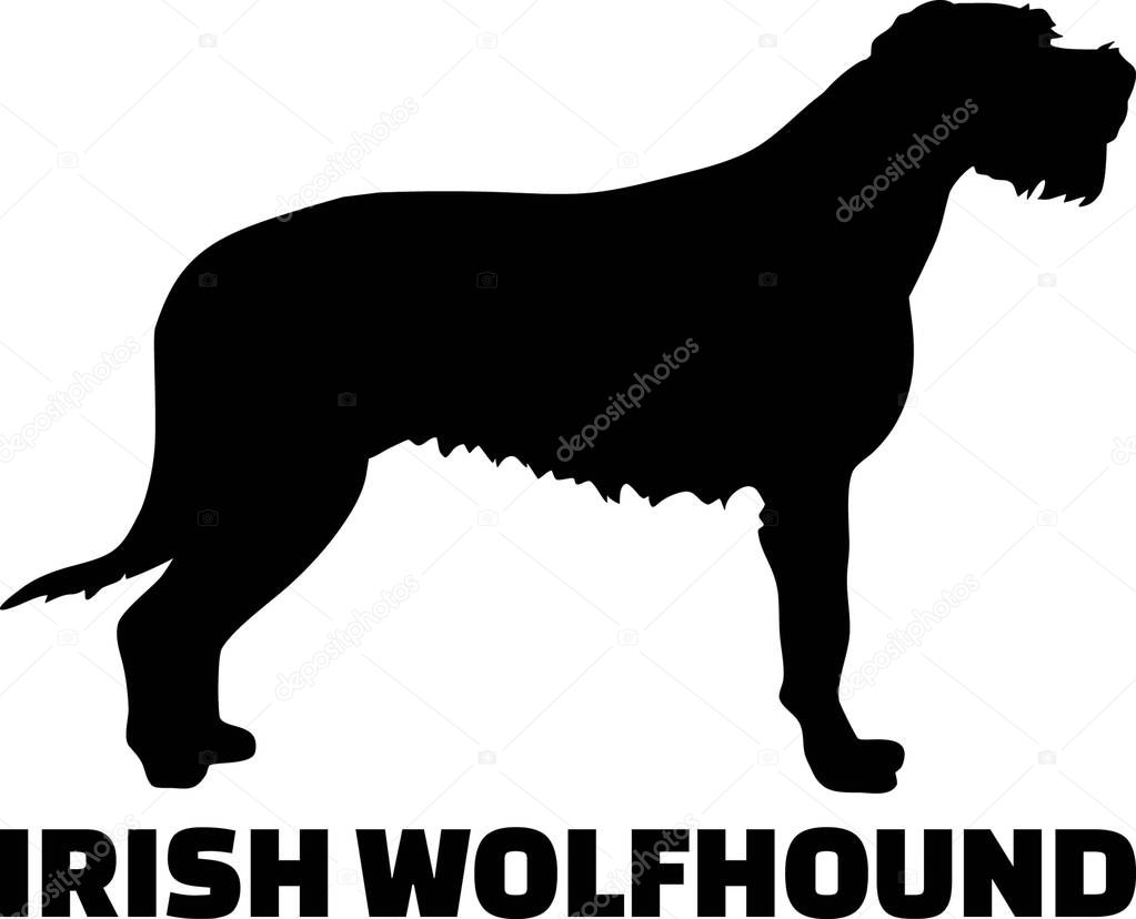 Irish Wolfhound silhouette real with word 