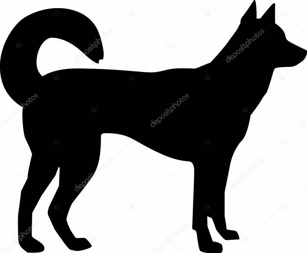 Kai ken silhouette real in black