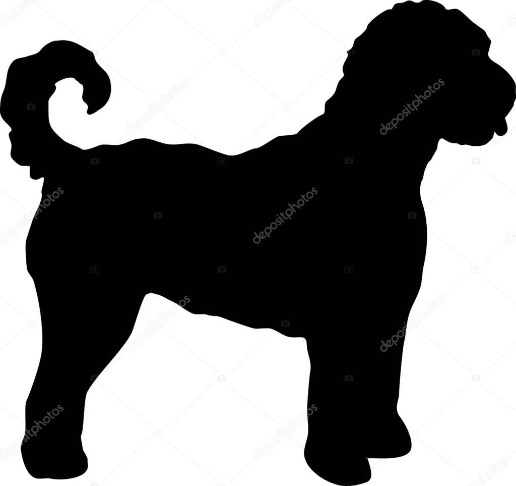 Labradoodle silhouette real in black