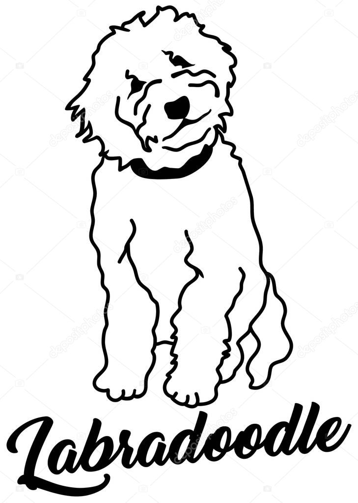 Labradoodle silhouette white with name