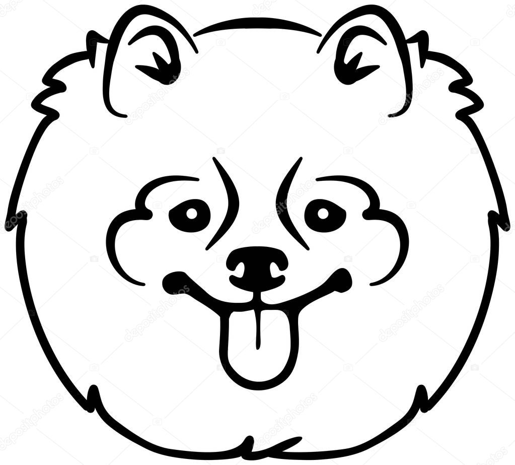 Pomeranian head with name black white