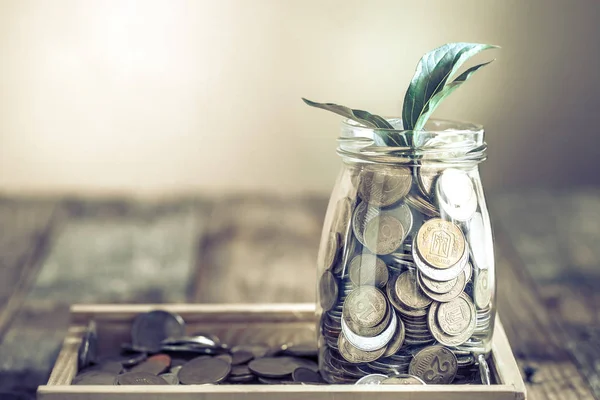 Jar Different Coins Green Growth Growing Stand Wooden Background Concept — Stock Photo, Image