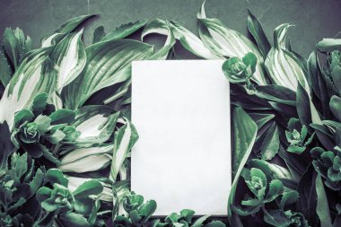 metin yaratıcı doku koyu yeşil bir koyu arka plan, kavramı doğal doku arka plan, doğa için yeşillik arka plan yer