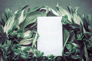 metin yaratıcı doku koyu yeşil bir koyu arka plan, kavramı doğal doku arka plan, doğa için yeşillik arka plan yer