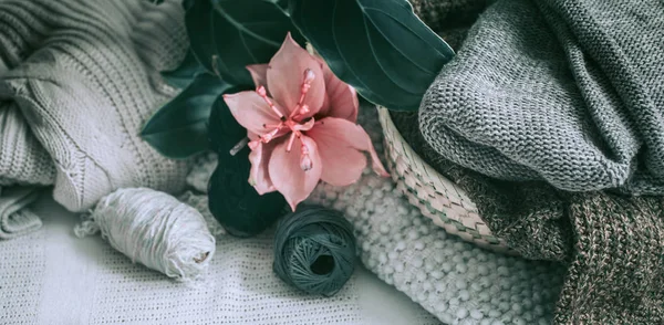 Konu ev iç ve medinilla pot kanepede ile örme kazak