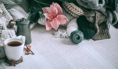 bir fincan çay ve ile ev iç ve bir medinilla pot kanepede iplik örme kazak