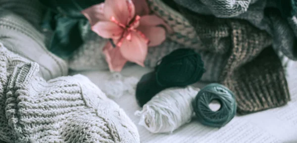 Knitted Sweaters Threads Sofa Home Interior Medinilla Pot — Stock Photo, Image