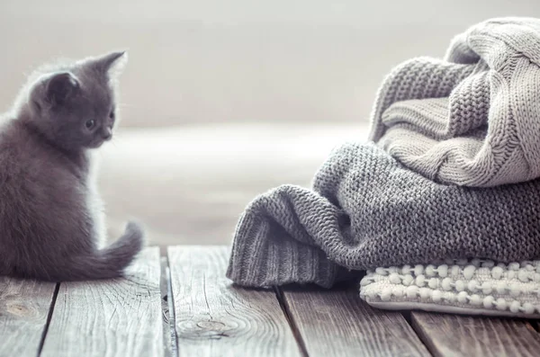 Small Kitten Pile Sweaters Wooden Table — Stock Photo, Image