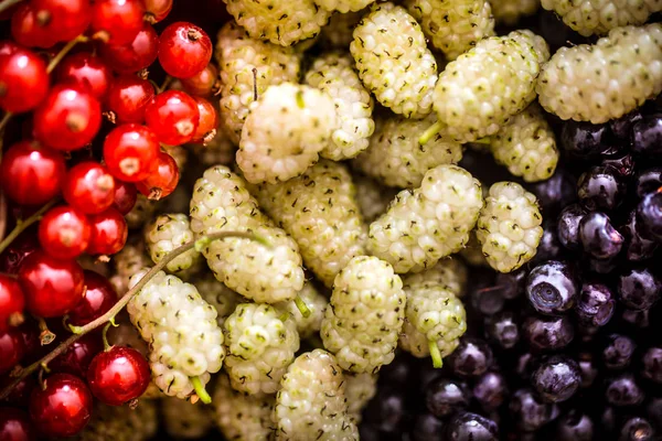 Murbei Segar Dengan Blueberry Makro Shot Konsep Makanan Sehat Dan — Stok Foto