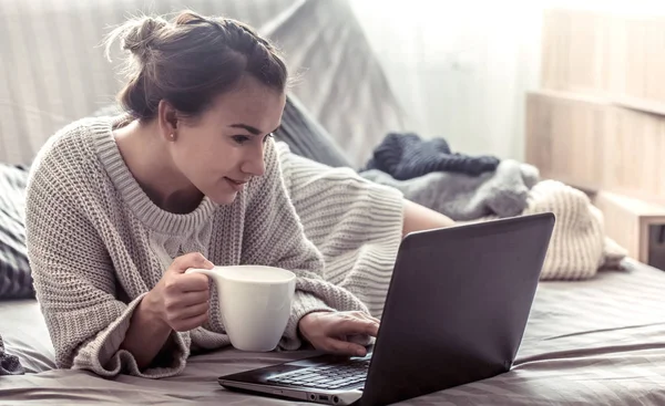 Kıza evde bilgisayar, evde, iş eğitim kavramı