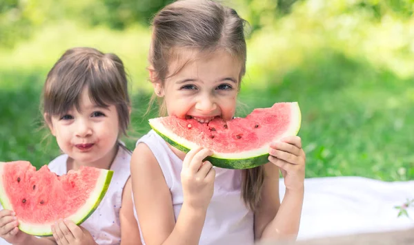 Due Sorelline Carine Che Mangiano Anguria Natura Giocano Divertono Concetto — Foto Stock