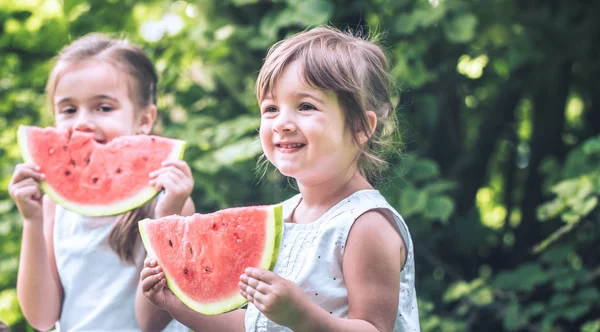 Liten Söt Baby Flickor Systrarna Äta Vattenmelon Naturen Spela Och — Stockfoto