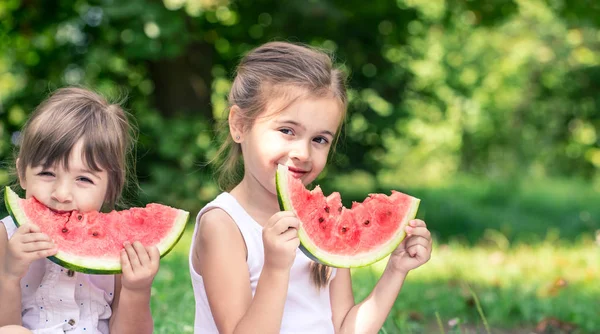 Due Sorelline Carine Che Mangiano Anguria Natura Giocano Divertono Concetto — Foto Stock