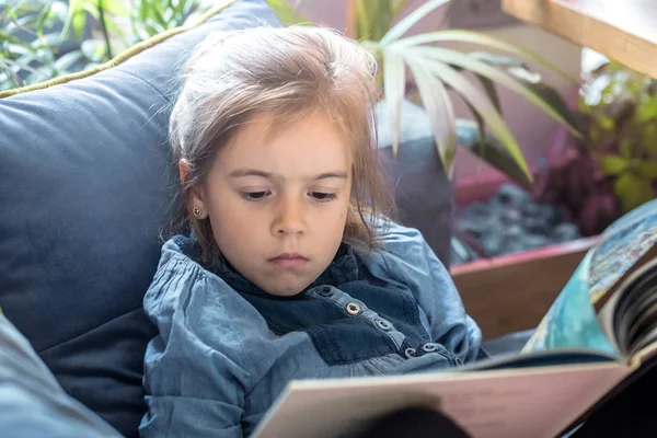 Kleines Schönes Mädchen Liest Ein Buch Wohnzimmer Auf Der Couch — Stockfoto