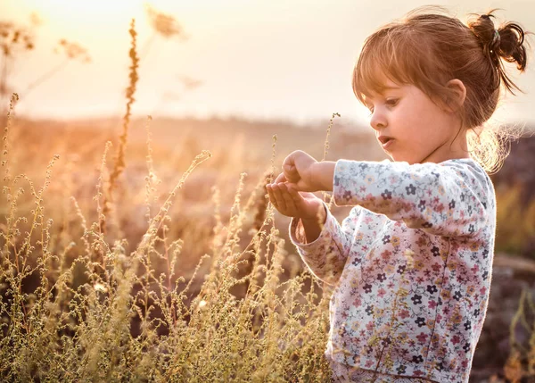 Kleines Nettes Mädchen Auf Dem Feld Bei Sonnenuntergang Babyentwicklungskonzept — Stockfoto