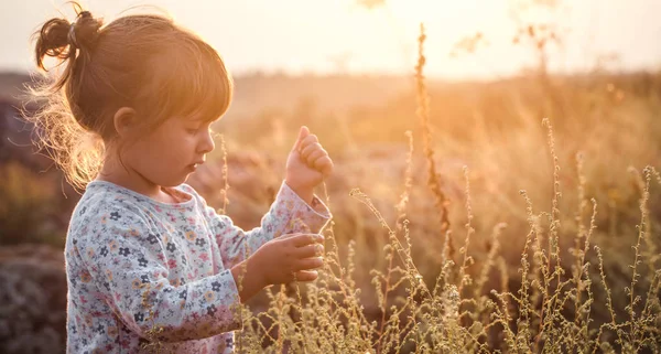 Kleines Nettes Mädchen Auf Dem Feld Bei Sonnenuntergang Babyentwicklungskonzept — Stockfoto