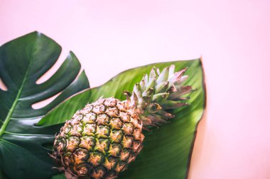 güzel tropikal yaprak ve pembe bir arka plan üzerine Hindistan cevizi yarısı